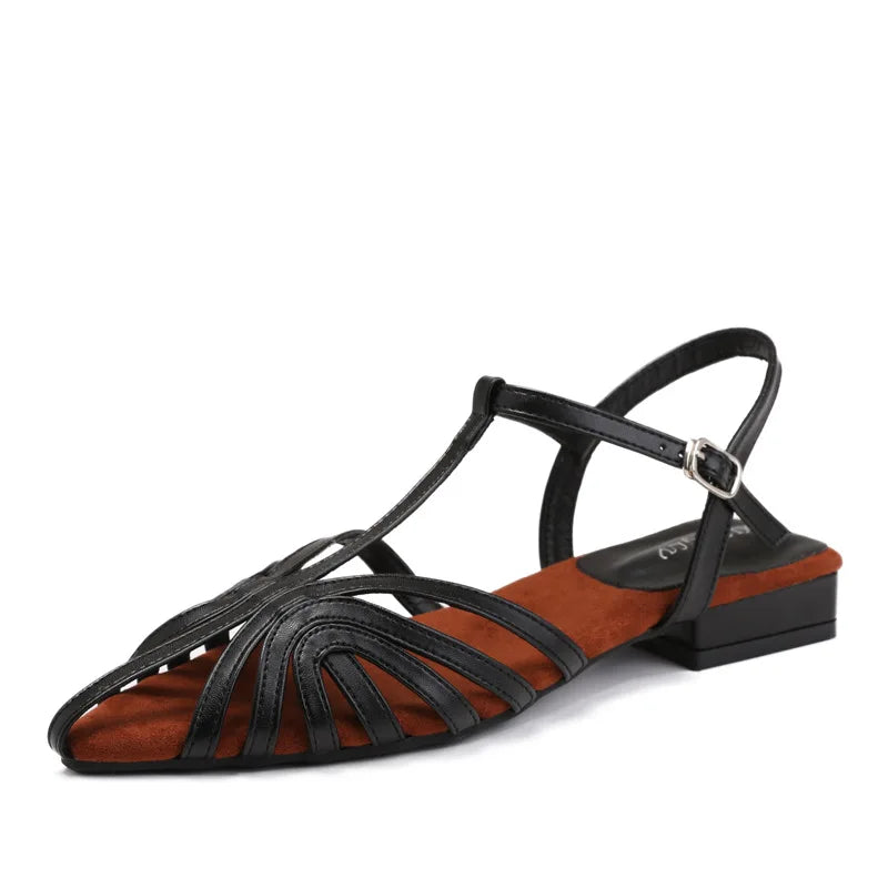 Low Heeled Sandals Fashion Women Gladiator Shoes 2025 Summer Pointed Toe Roman Sandals Footwear Size42 Sandalias De Mujer