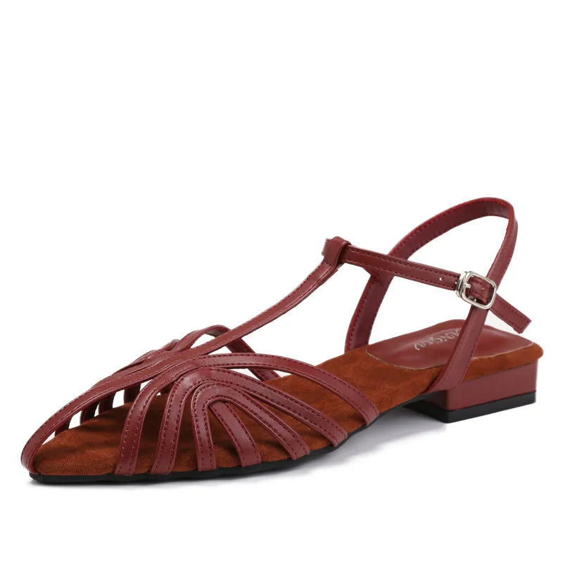 Low Heeled Sandals Fashion Women Gladiator Shoes 2025 Summer Pointed Toe Roman Sandals Footwear Size42 Sandalias De Mujer